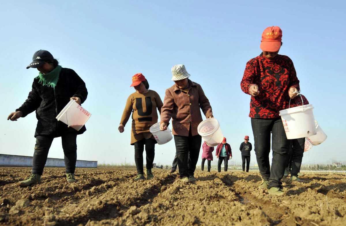 諾安生態(tài)肥業(yè)提示:冬季施復(fù)合肥的注意事項